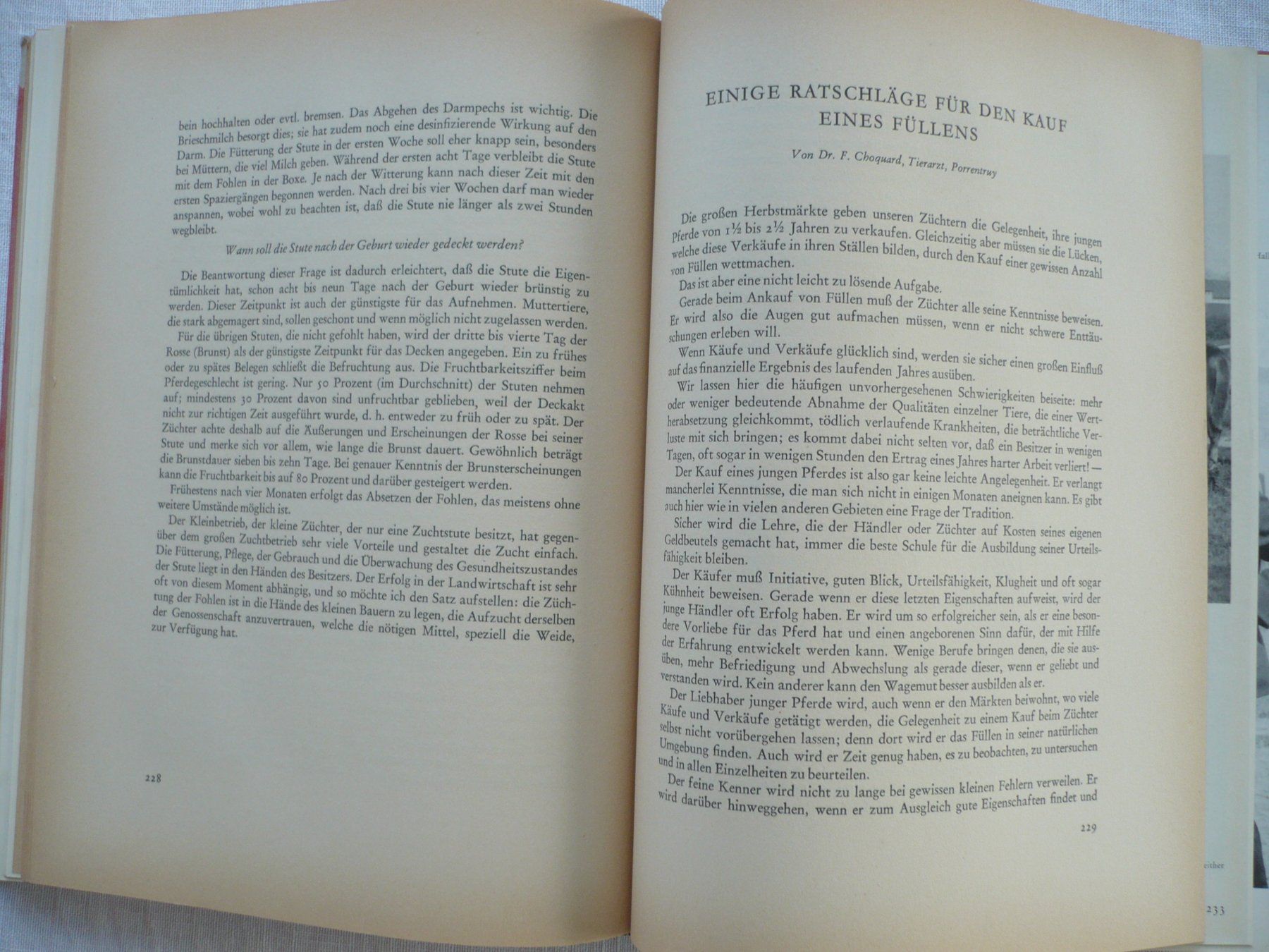 Bücher: Schweizer Pferdebuch 1944 – Gebraucht aus Zürich von saltandpepper008 7