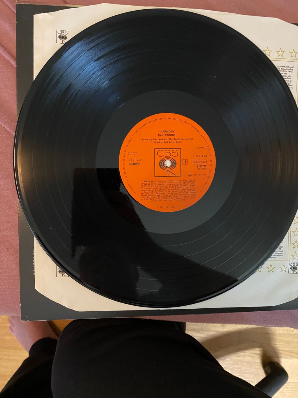 Dischi in vinile: LP – Usato da Dietlikon venduto da Nicokh 4