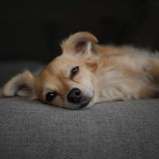 Profile image of S_Stoll