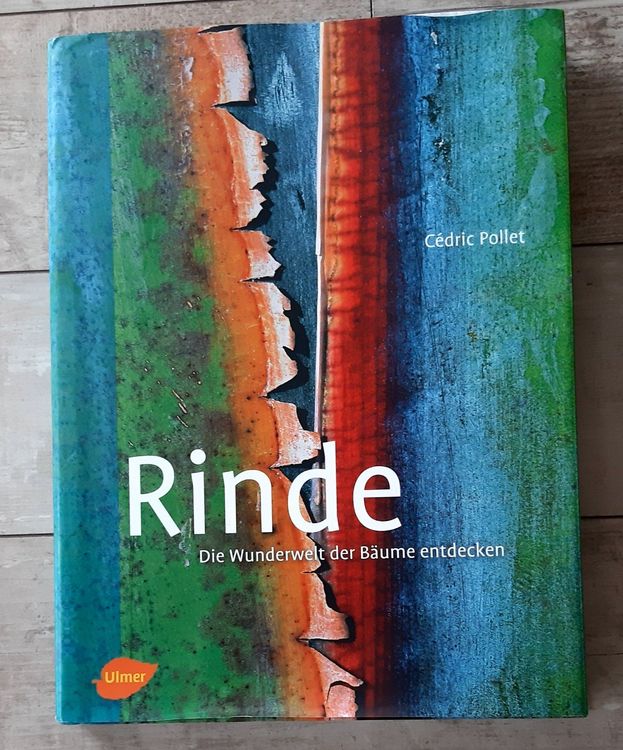 Rinde - Die Wunderwelt der Bäume entdecken - Cédric Pollet | Kaufen auf ...