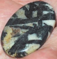 Cabochon L-855 – Hornblende Stein