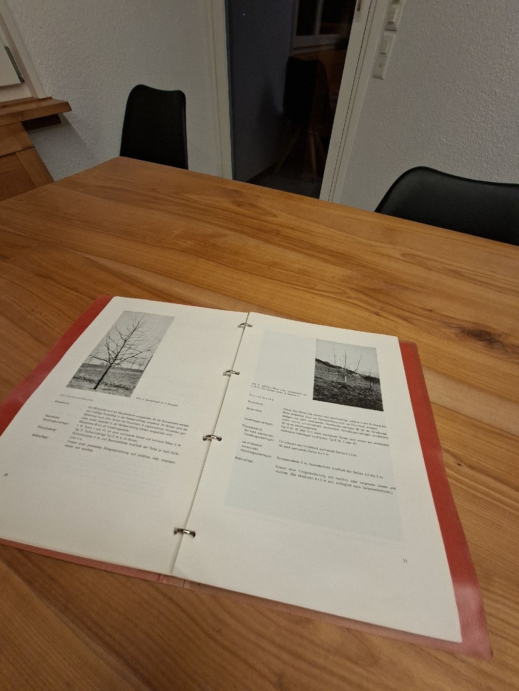 Documenti: R.Fritzsche Obstbau Katalog 1964 – Usato da Ganterschwil venduto da HeidiuPeter 3