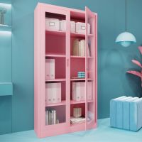 Aufbewahrungsschrank + Glasvitrine Aktenschrank - Rosa
