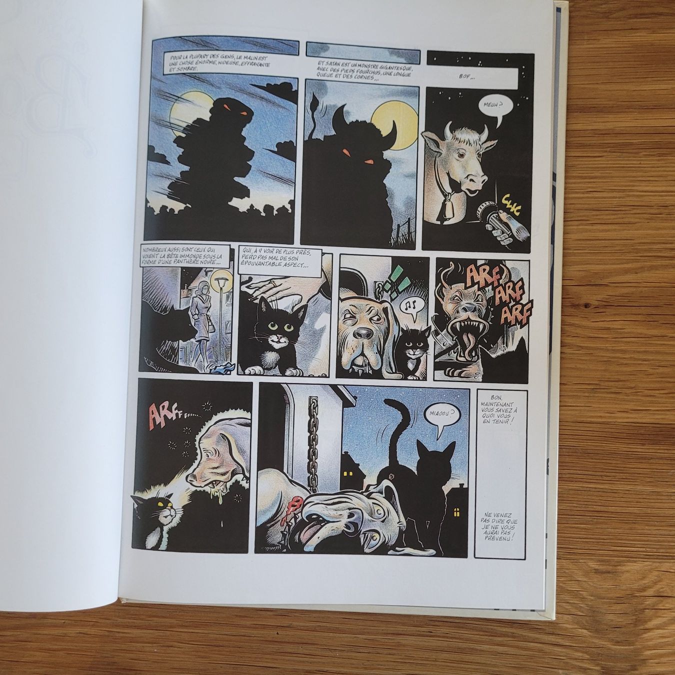 Fumetti: BD Adulte EO Sandy Bodyshelly 1. Le Chat Noir – Usato da Biel/Bienne venduto da Destockweb 2