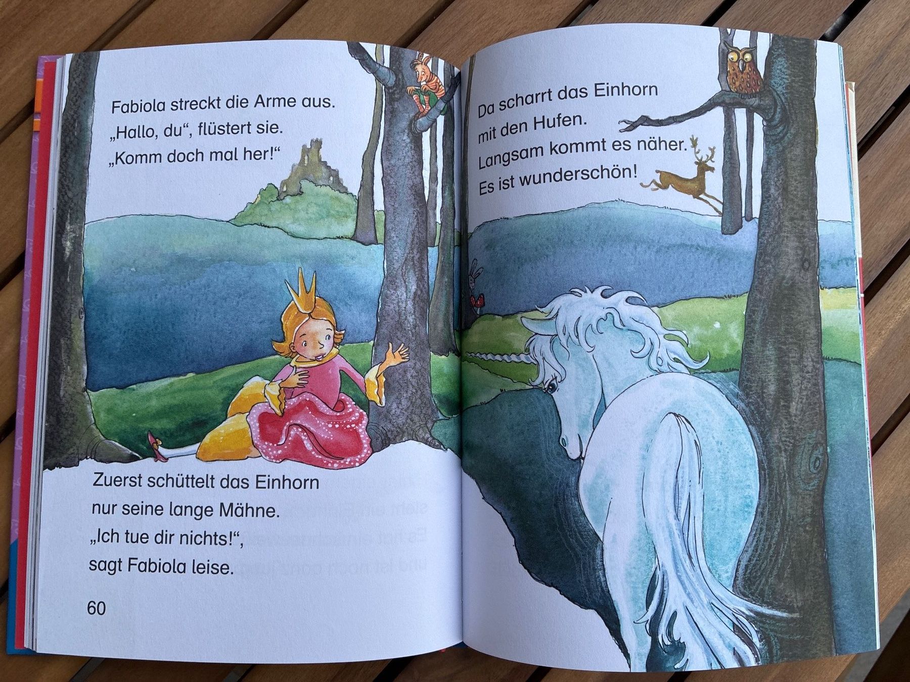 Libri: Buch- Leserabe Einhorngeschichten, 1. Lesestufe – Usato da Guntershausen venduto da Gloominati 2