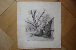 Wedelebock / Bürdelibock  E. Feller 1948