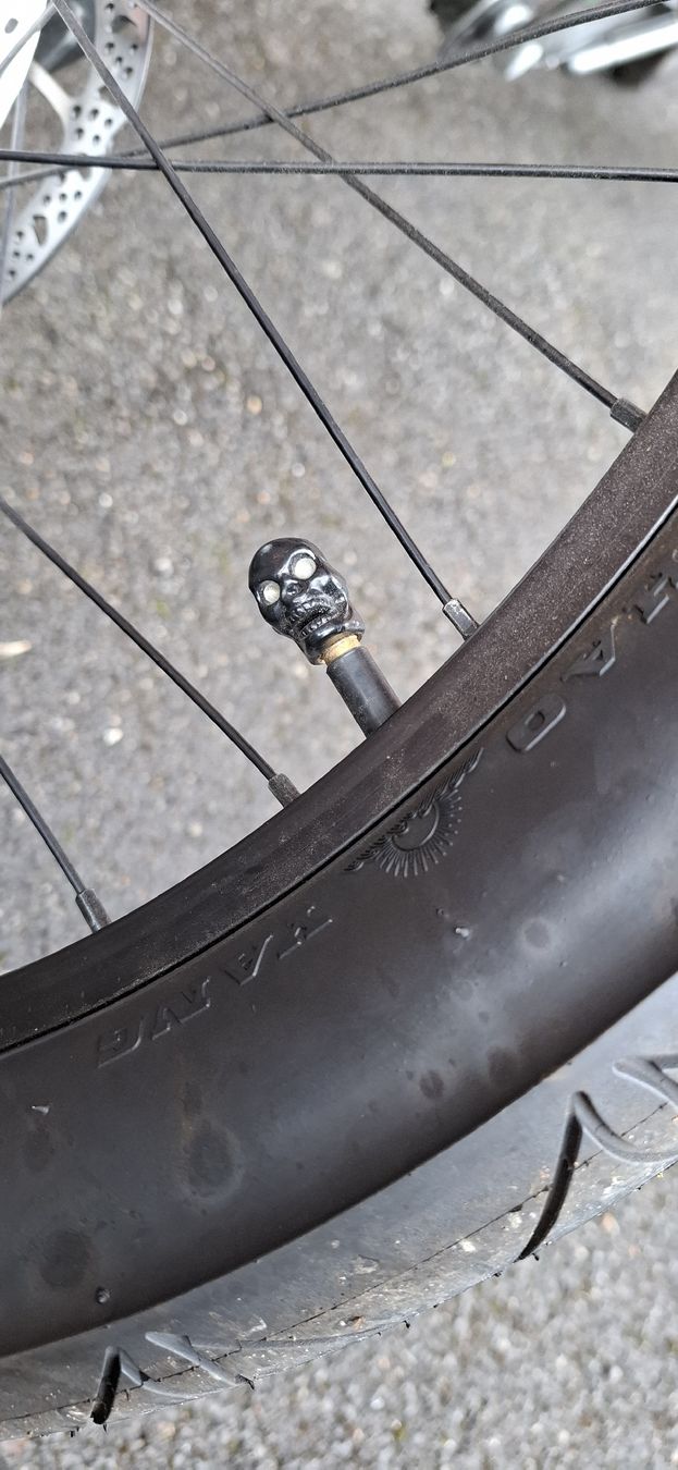 Vélos: Vélo Électrique Chopper unique – D'occasion à St-Saphorin-Morges par J.dut 3