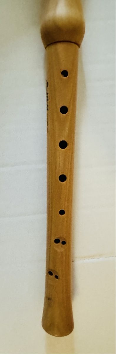 Strumenti musicali: Recorder by Sheffield - Great Instrument for Beginners! – Usato da Olten venduto da Asaliya 1