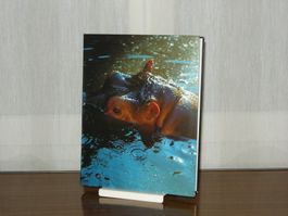 Sichtbare Welt / Peter Fischli, David Weiss