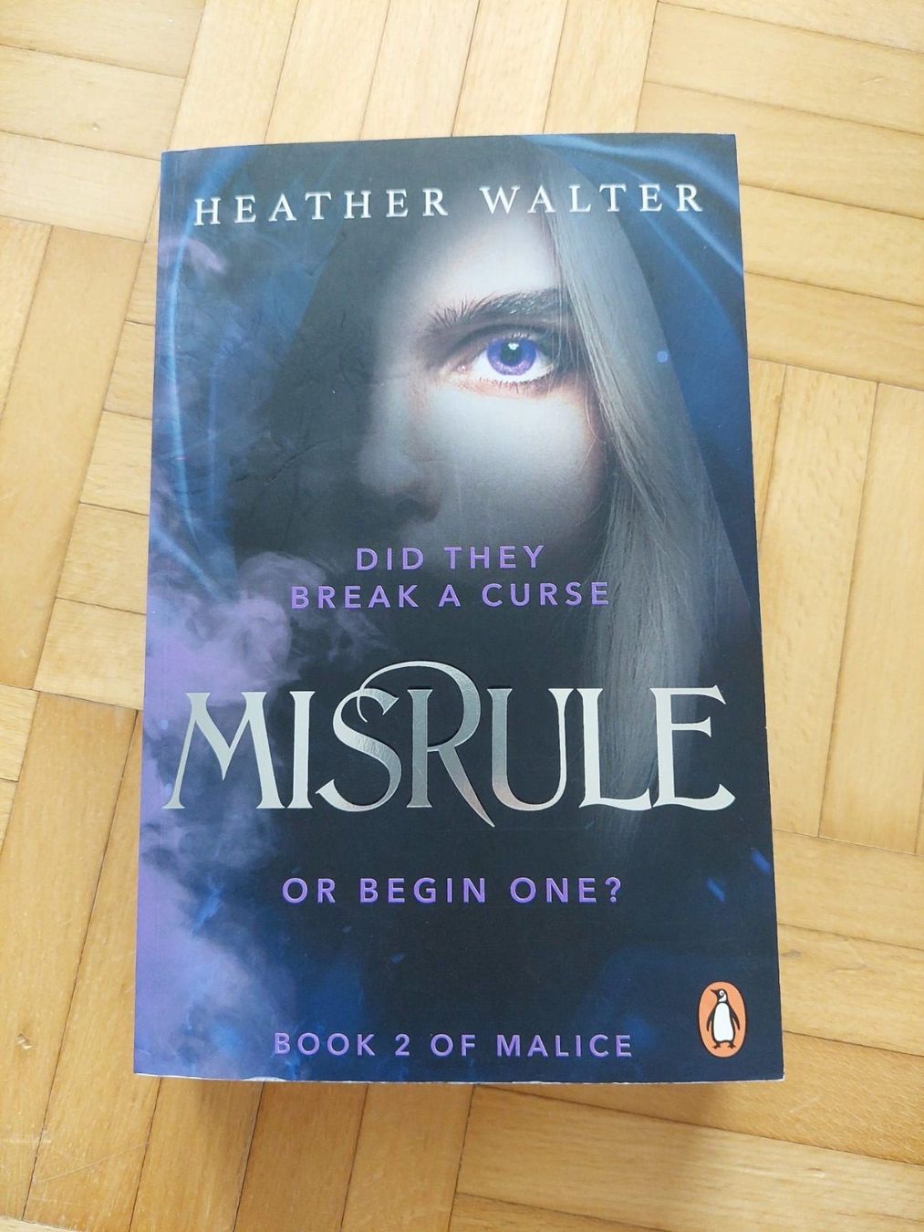 Libri: Buch: Misrule; Did theo break a curse or begin one? – Usato da Reinach AG venduto da geo_bmc8