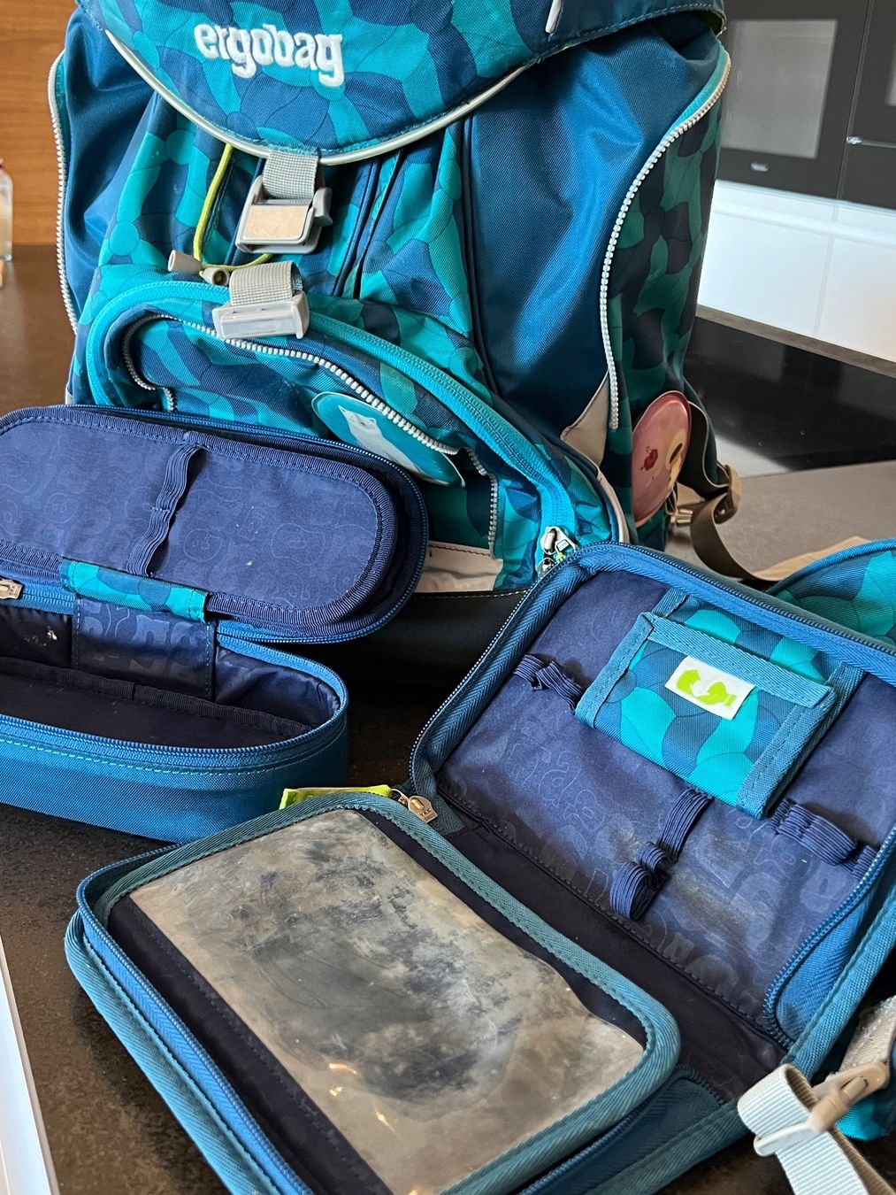 Ergobag Borse & Zaini: Ergobag Schulrucksack Set – Usato da Luven venduto da Eletto 1