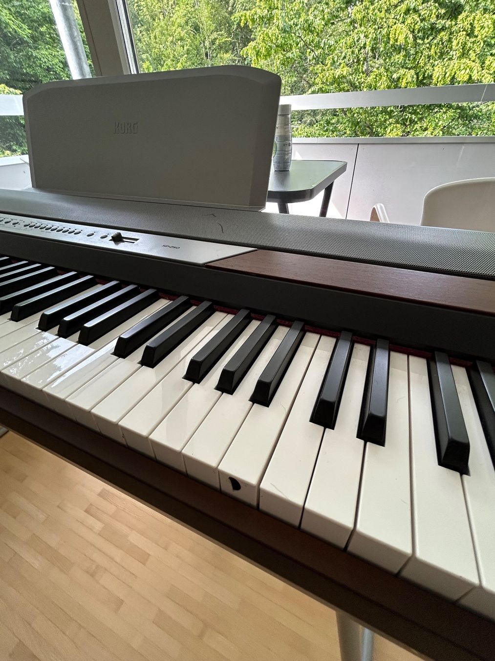 Korg Strumenti musicali: KORG Digital Piano - SP 250 – Usato da St . Gallen venduto da SD15 1