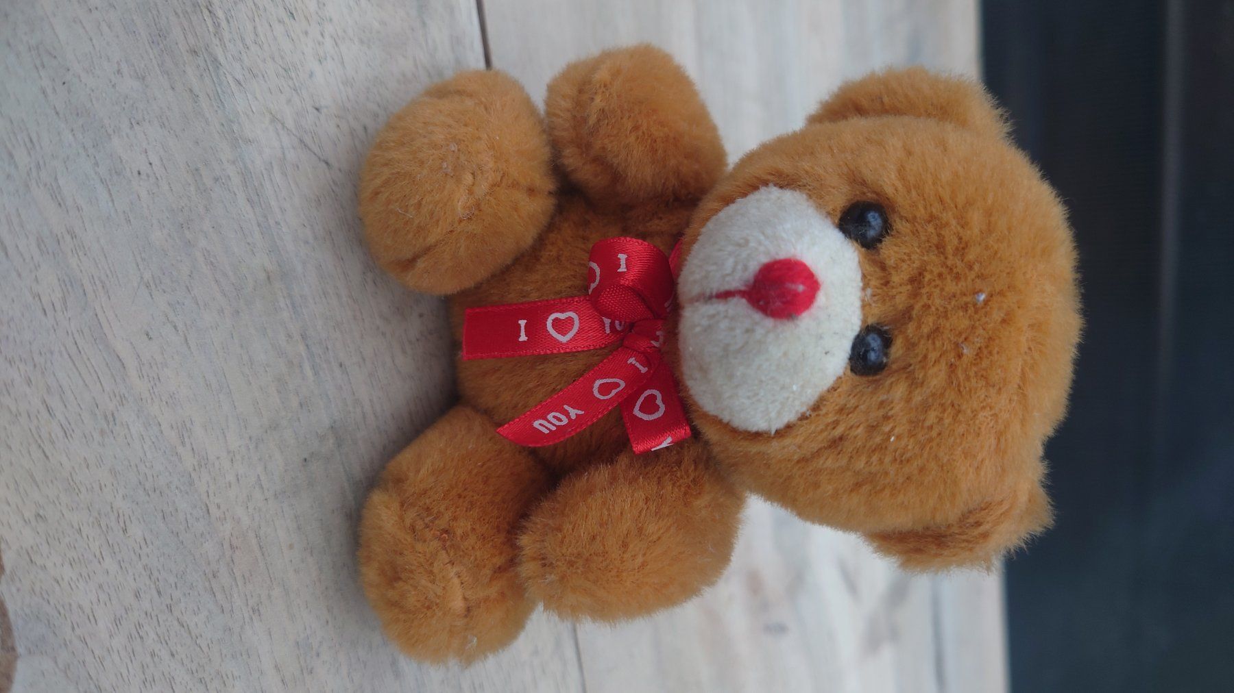 Jouets: SecondHand: Plüsch Bär – D'occasion à Wittenbach par Aberanders