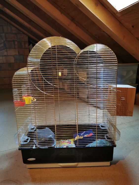 Vogelvoliere Kaufen auf Ricardo