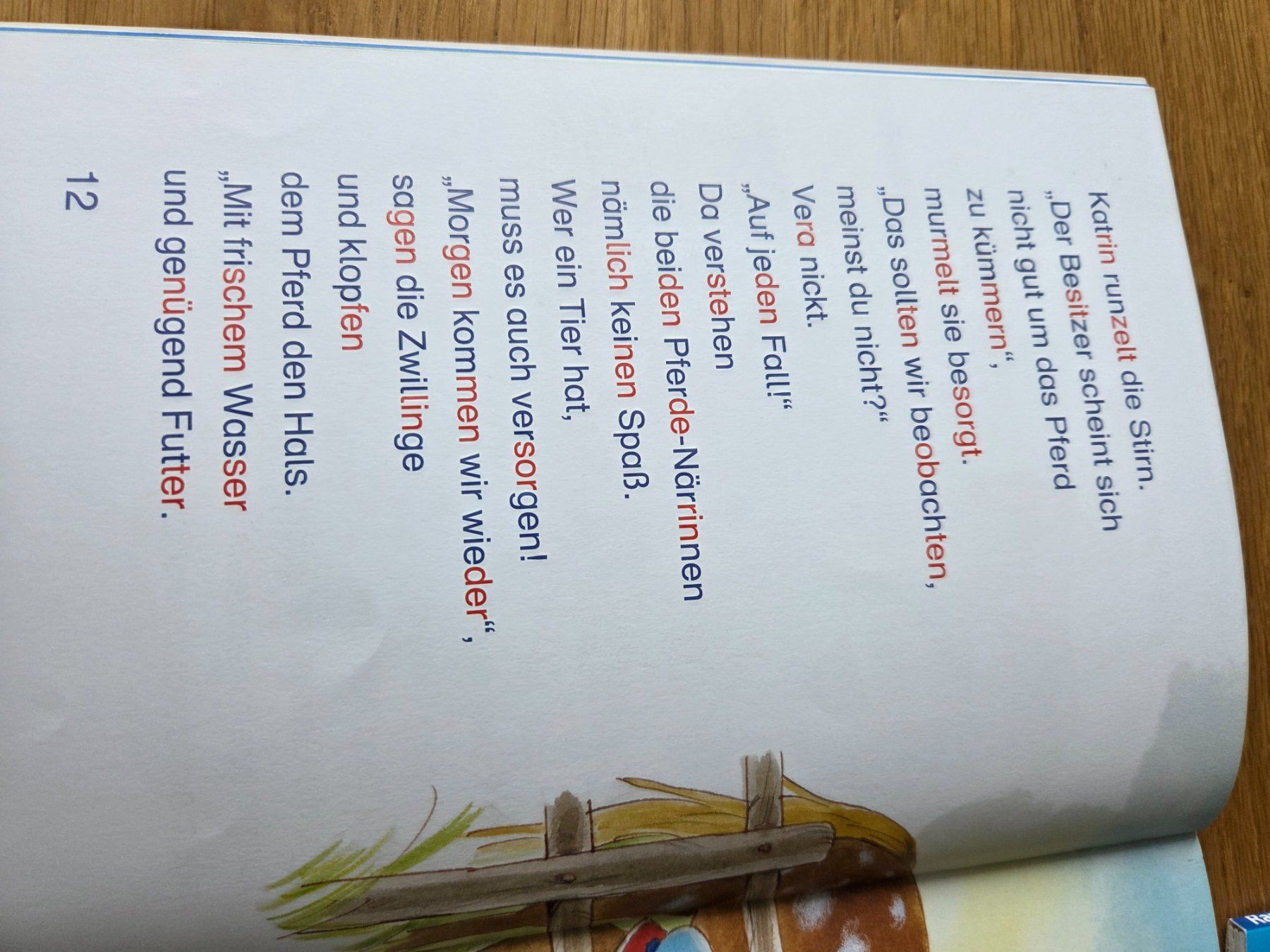 Libri: Leserabe 2. Stufe – Usato da Richenthal venduto da Angel_28 1