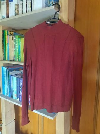 Noisy May Rusty Red Turtleneck