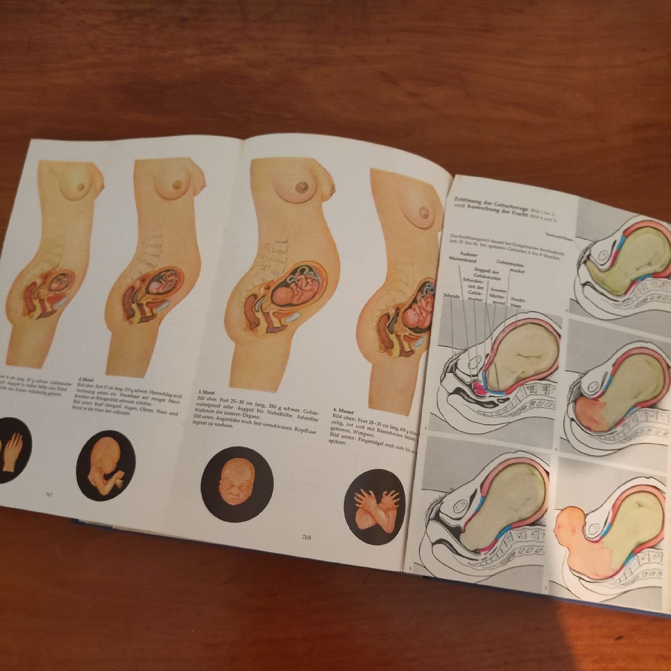 Bücher: Das grosse Reader's Digest Gesundheitsbuch – Gebraucht aus Romanshorn von SuperRetro64 5