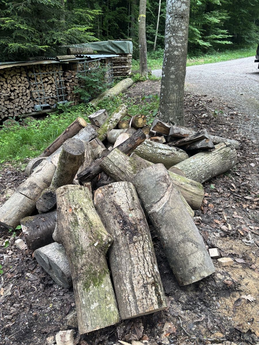 Articles en bois: Brennholz Abschnitte – D'occasion à Wil SG par mario.wick