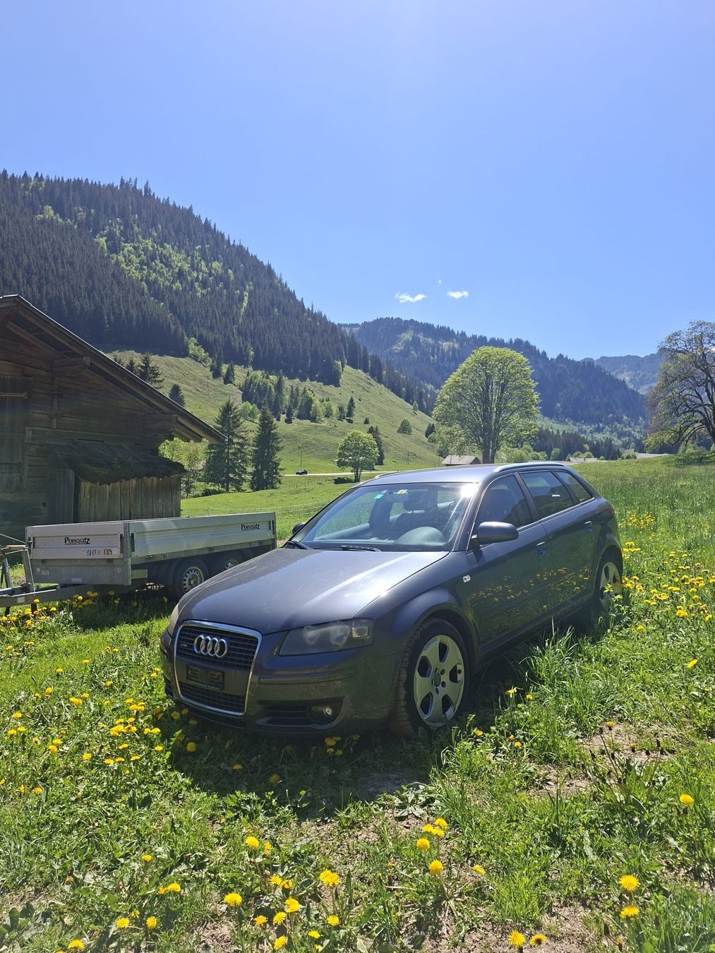 Audi Automobili: Audi A 3 Quattro – Usato da ZWISCHENFLÜH venduto da ramsler01 6