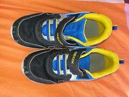 Geox Sneaker gr 33 zum austragen