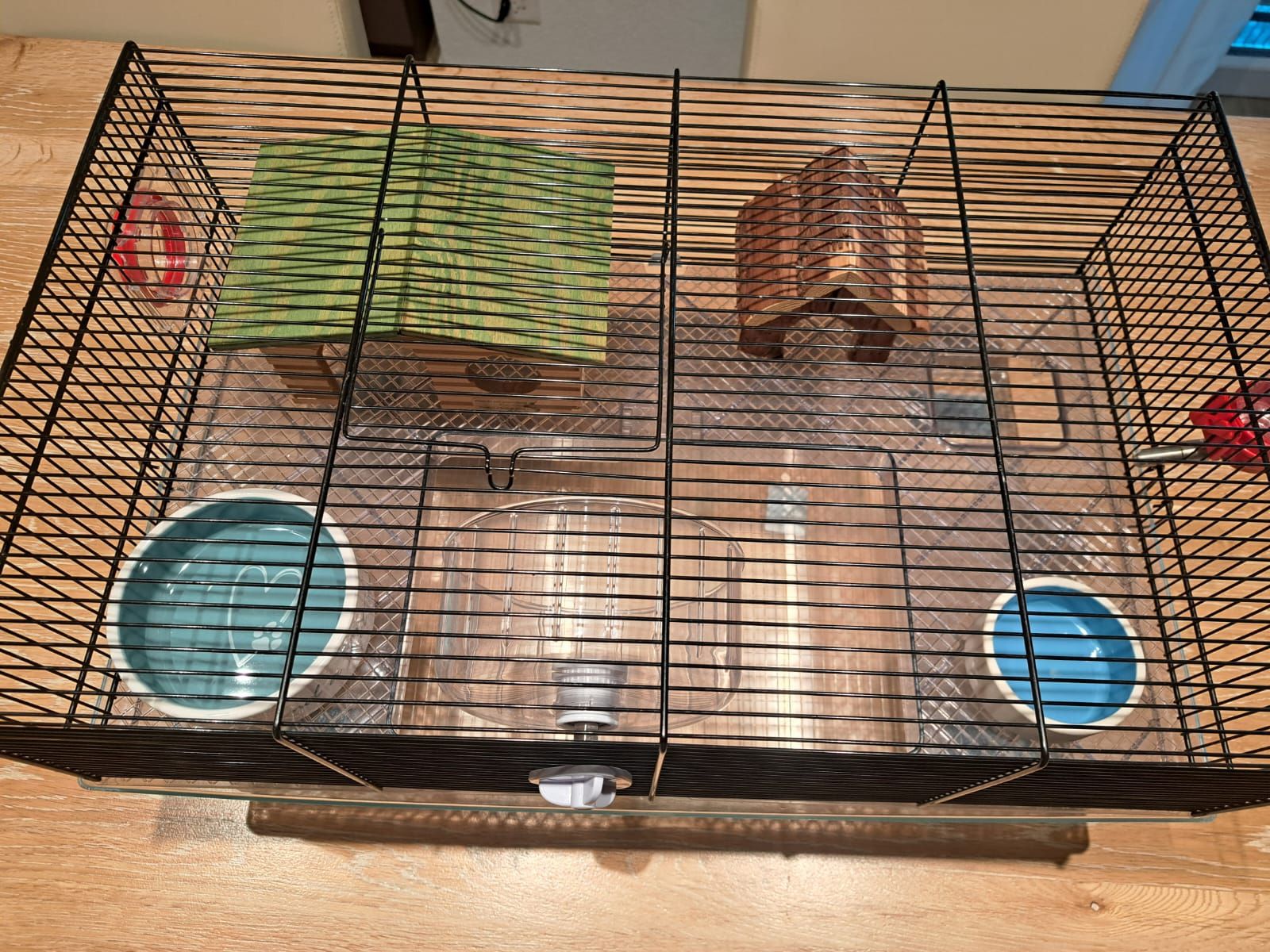 Gabbie, trasporto & Sicurezza: Hamsterkäfig mit Zubehör – Usato da Rorbas venduto da siramad