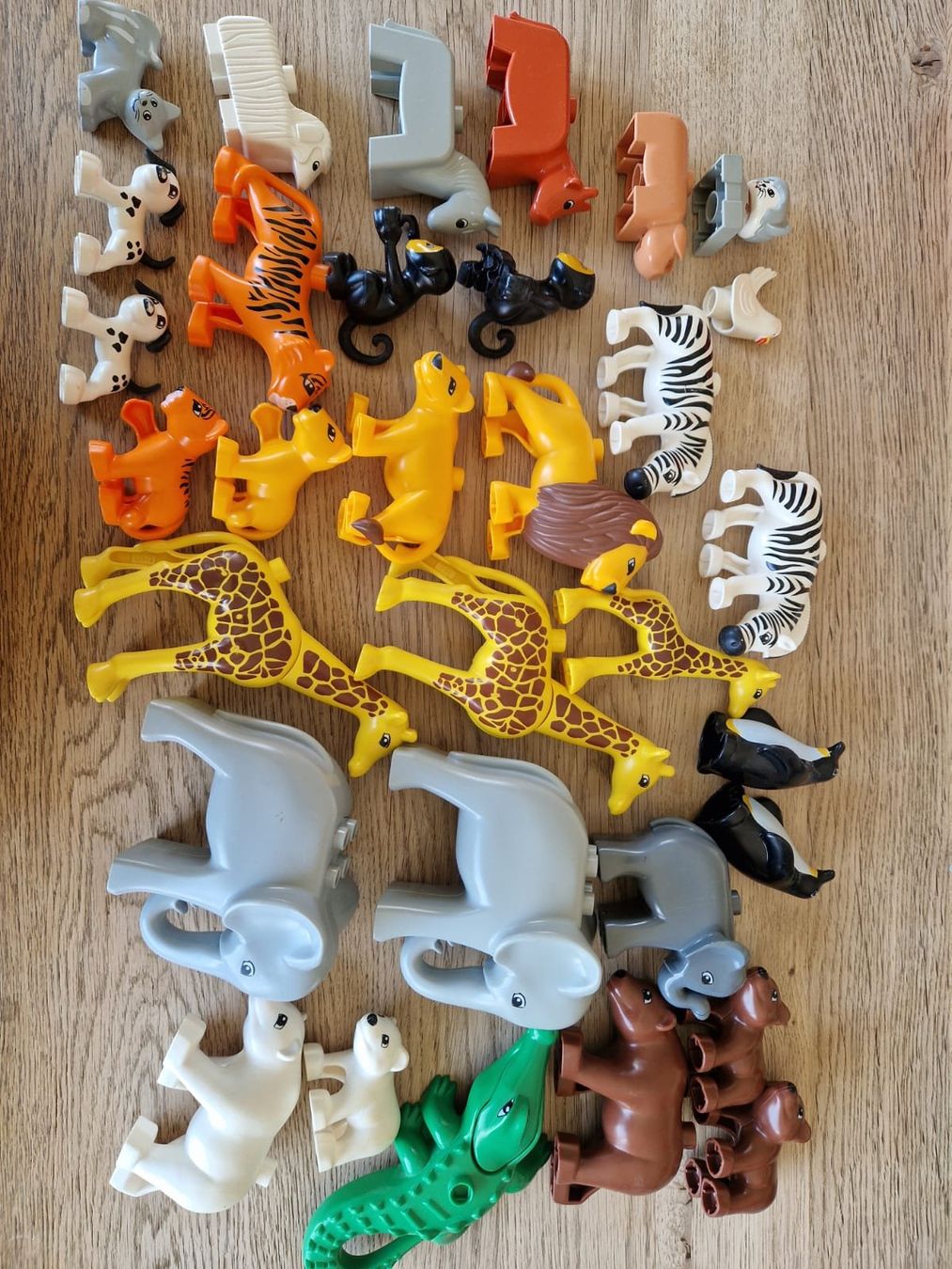 Lego Giocattoli: Lego Duplo zwei Boxen und vier Platten – Usato da Schötz venduto da protea84 2