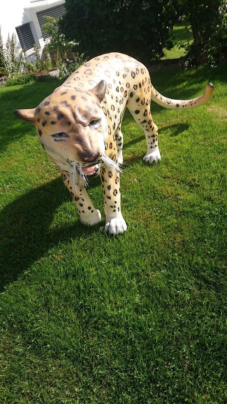 Sculture & Statue: Leopard / Gepard Skulptur – Usato da Uznach venduto da bullrot313 1