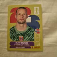 Carte Panini Ørjan Nyland Nor 2 