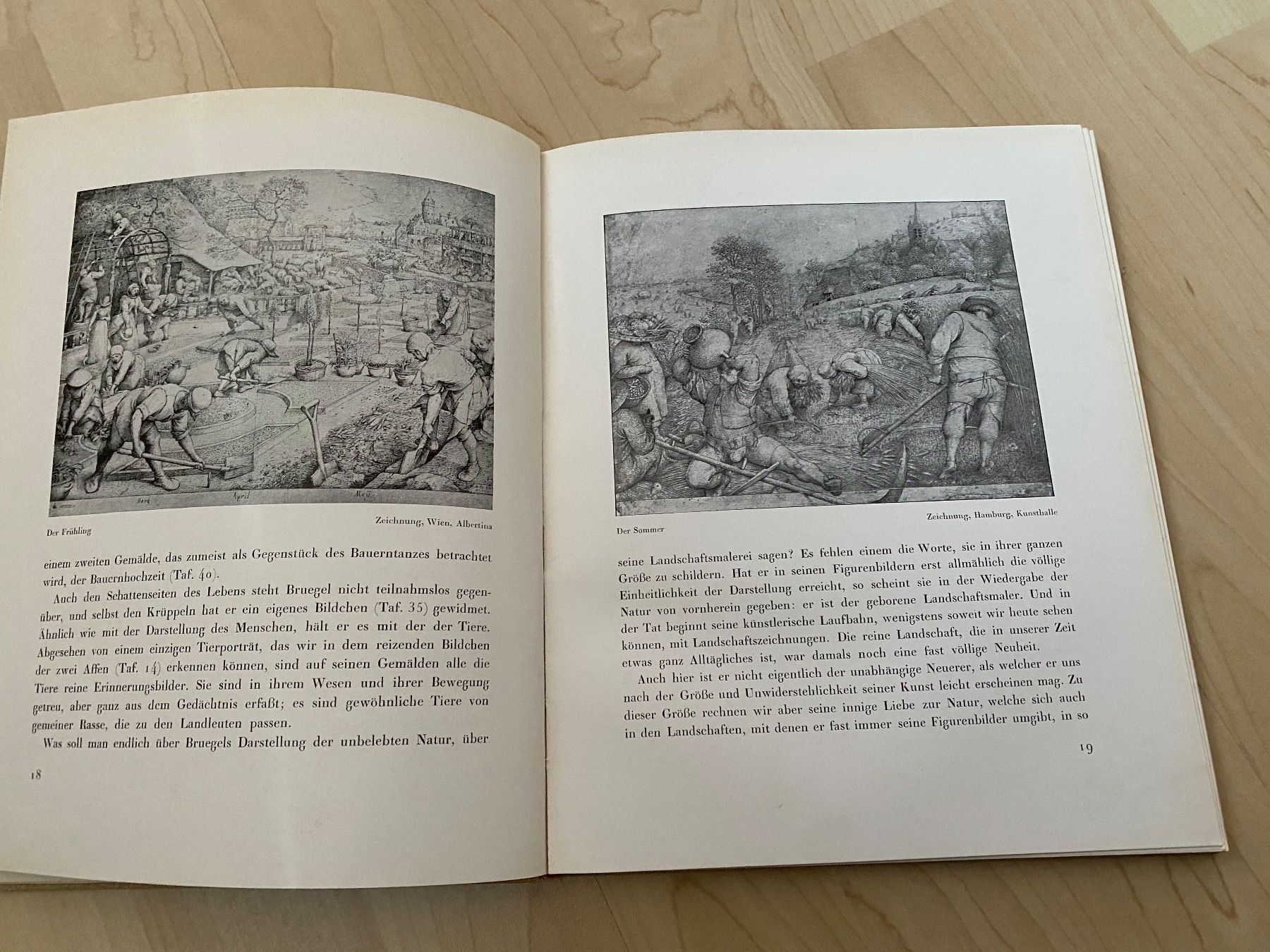 Libri: Das Bruegel Buch – Usato da Luzern venduto da Harikan 3