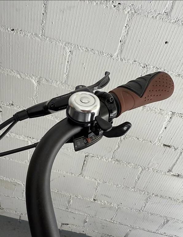 Biciclette: Zenith Elektrobike – Usato da Goldach venduto da axn_ng5f 3