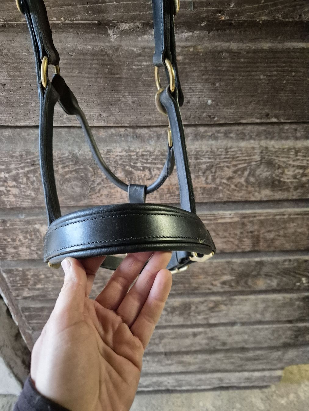 Briglie & Cavezze: Leder Halfter Cob – Usato da Meggen venduto da Orrinka20 1
