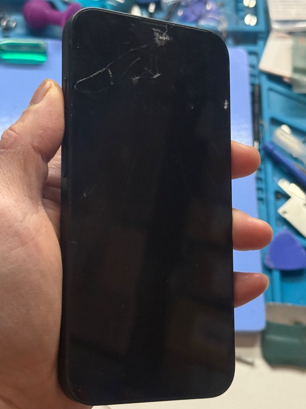 Apple Telefoni cellulari / Smartphones: Écran iPhone 16E Cassé - Pièces Détachées – Usato da Morges venduto da DA-repa 2