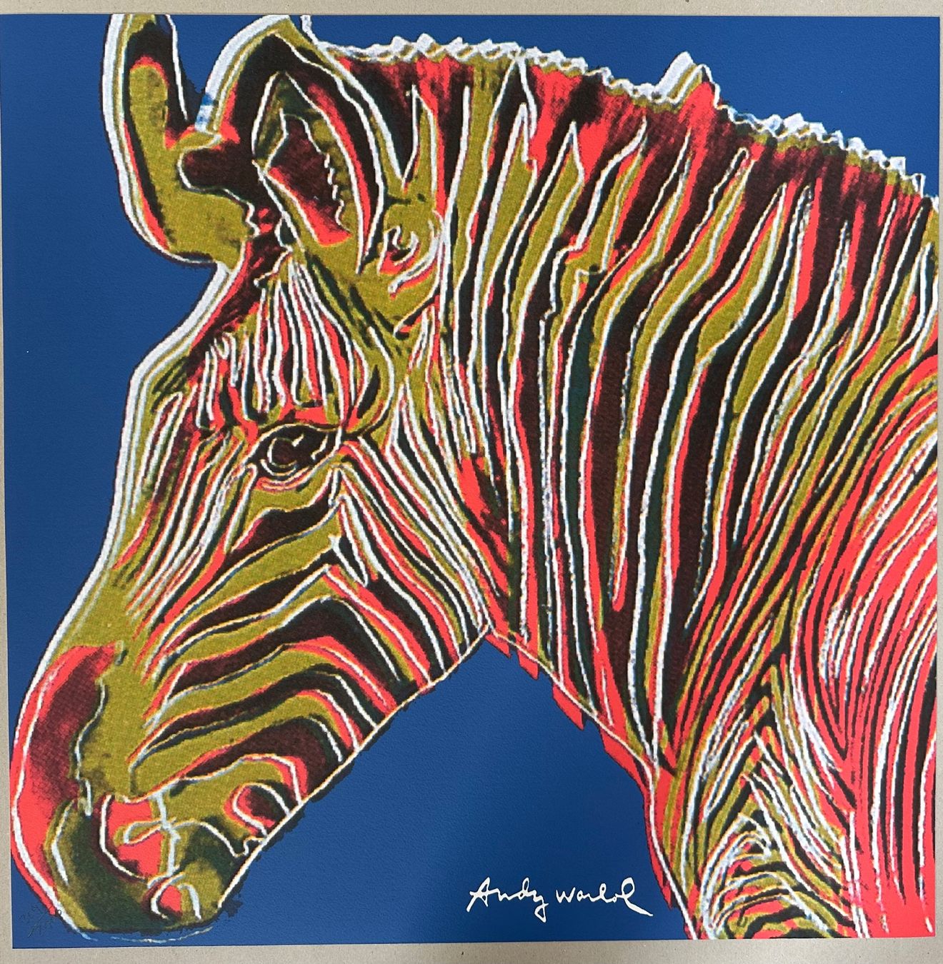 Foto & Immagini: Warhol: POP Art, Zebra 309/2400 – Nuovo (secondo la descrizione) da Meilen venduto da Smgdesign