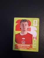 Jacob shaffelburg