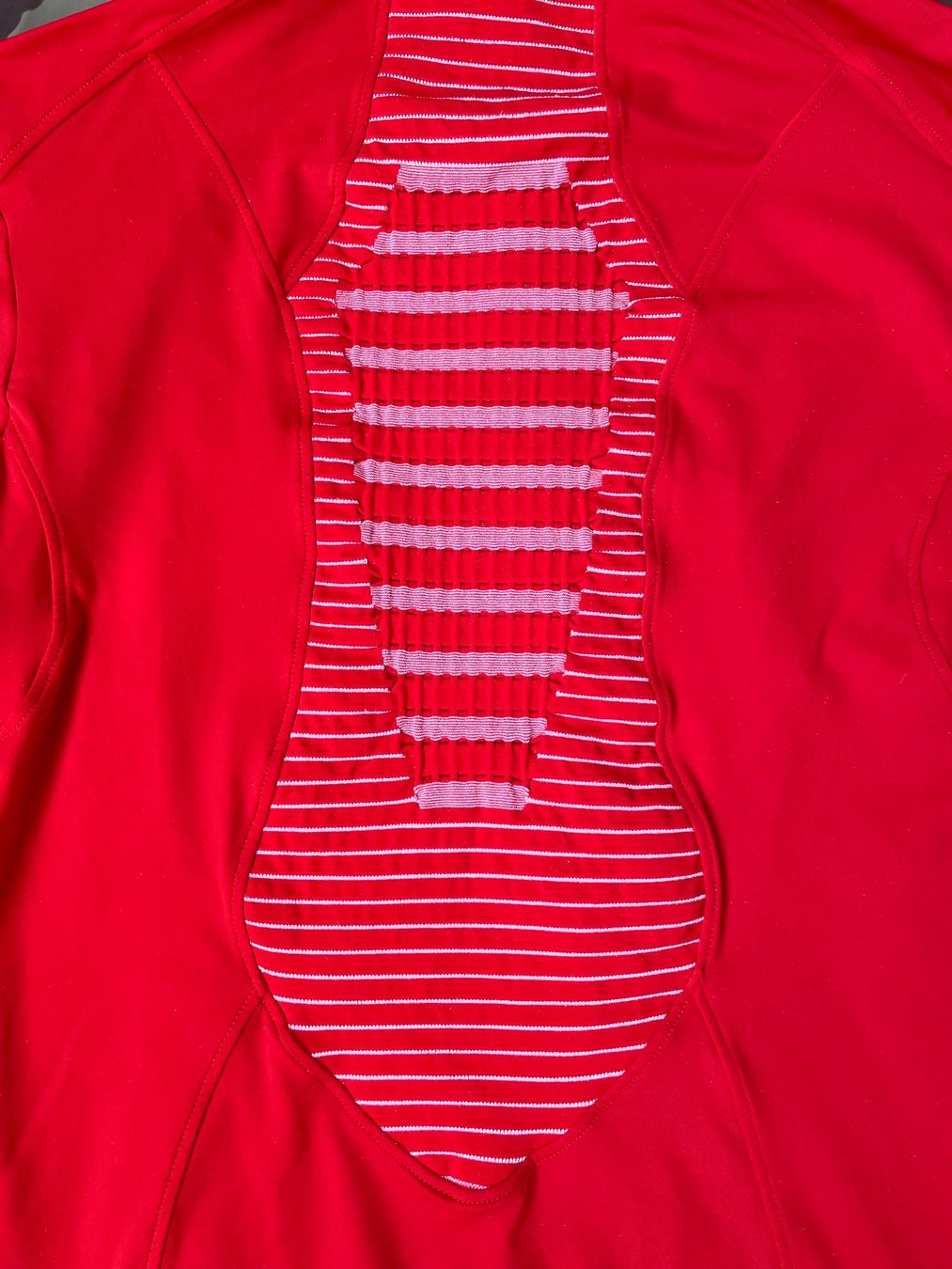 Swiss Giacche: X-Bionic Thermal Zip Longsleeve Swiss Ski Sz L – Usato da Zürich venduto da le_souk 2
