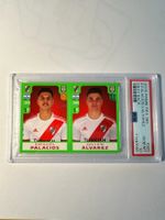 Julian Alvarez Rookie Sticker Panini Fifa 365 2019 PSA 10