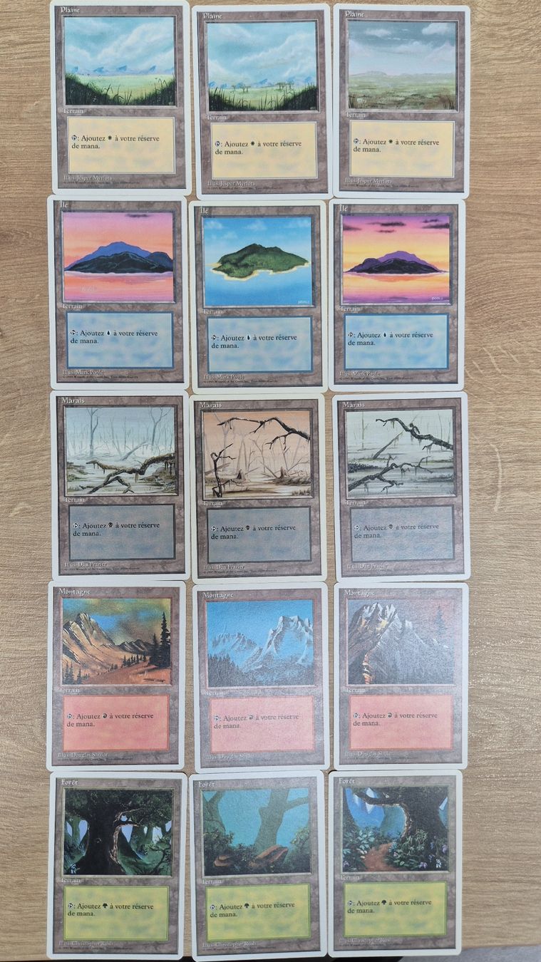 Magic The Gathering Carte collezionabili: MTG Magic The Gathering: 4th Edition Land Set FR – Usato da Küsnacht ZH venduto da Canada-2012