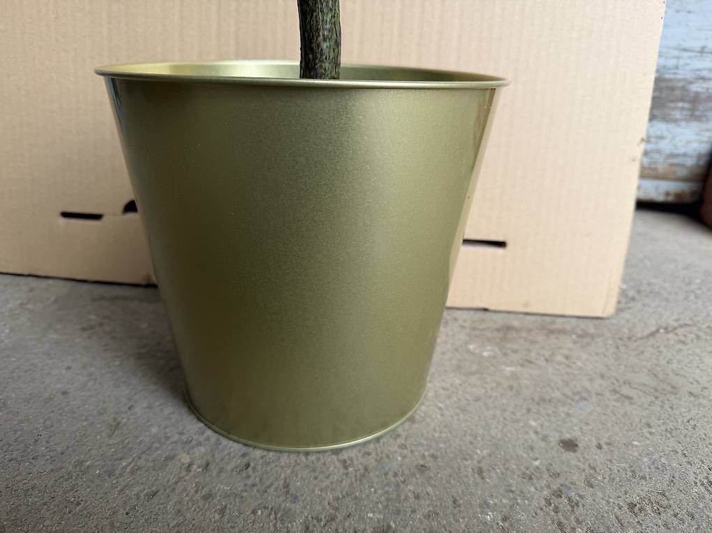 Pflanzen & Samen: neuer künstlicher Baum inkl Topf – Neu und originalverpackt aus Necker von liq24 3
