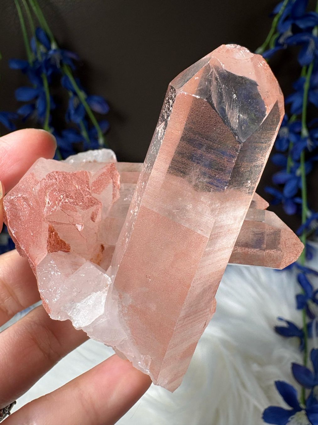Minerali & Pietre curative: Rosa Quarz-Cluster – Nuovo (secondo la descrizione) da Neuheim venduto da m.hald 8