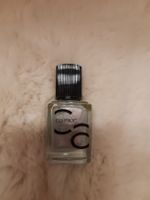 catrice "elsa's favorite"