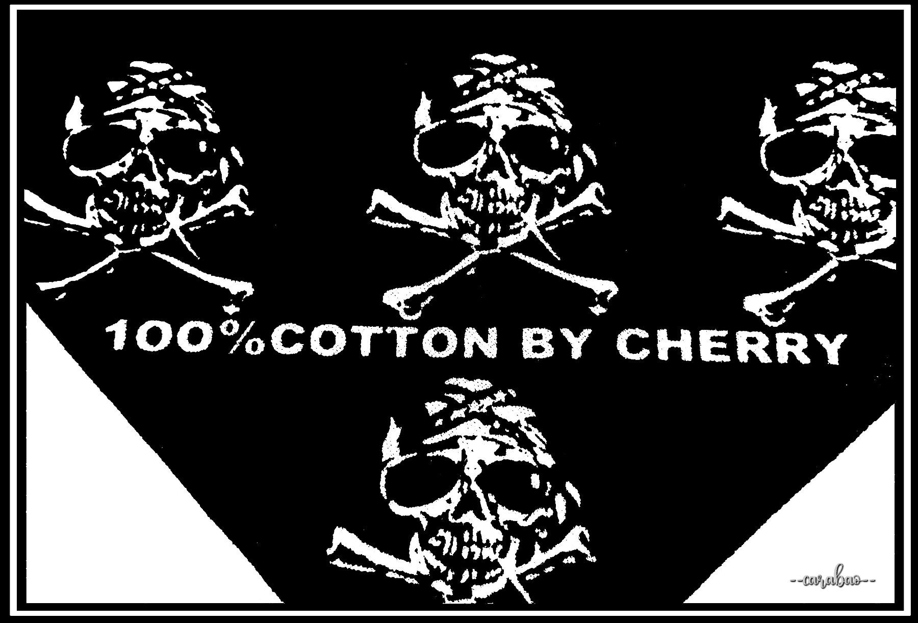 Foulard & Sciarpe: Bandana / Skulls & Bones / Nr. C-999 – Nuovo (secondo la descrizione) da Winterthur venduto da -carabao- 2