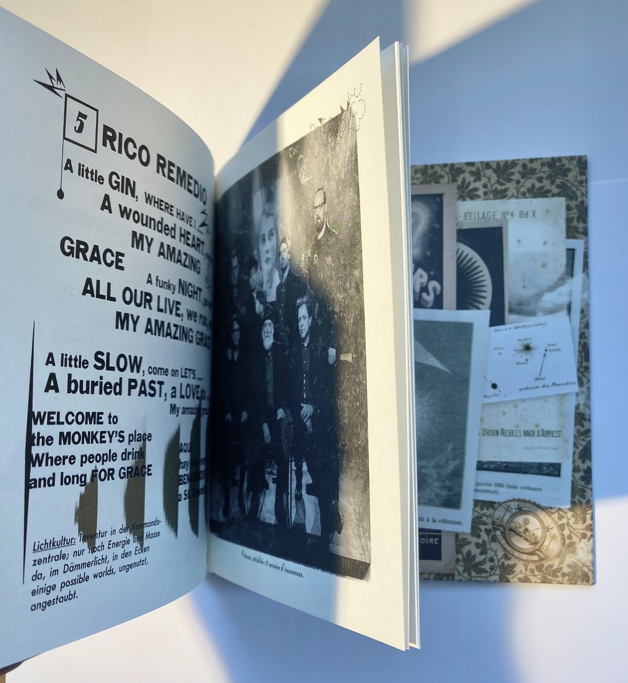CD: JOLLY & THE FLYTRAP CD: Le dictionnaire de la lumière (2021) – Usato da Kilchberg ZH venduto da S1744 7
