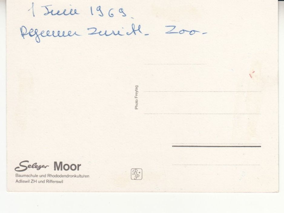 Ansichtskarten: Rifferswil Seleger Moor 1969 – Gebraucht aus Bürglen TG von StampGraf 1