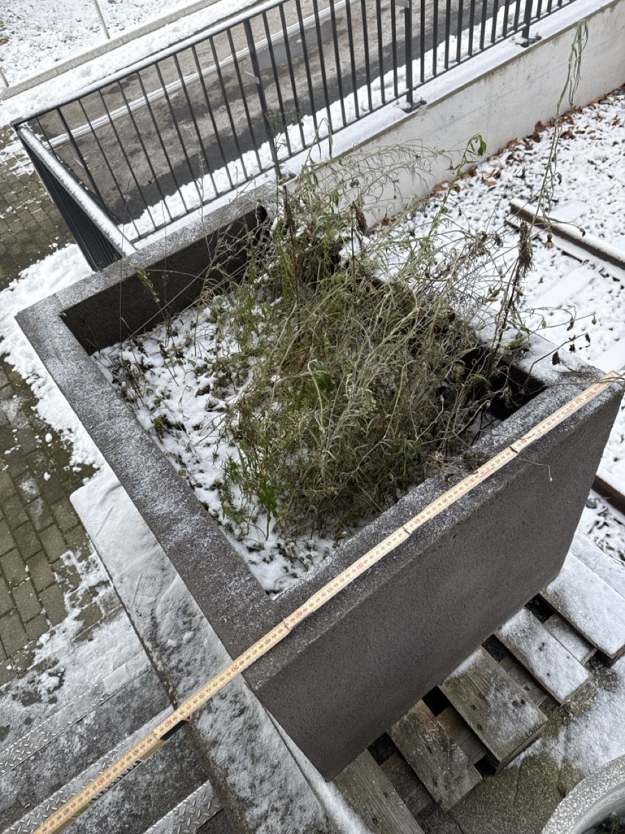 Vasi per fiori: Robuster Pflanzentrog aus Beton für Garten oder Terrasse – Usato da Ermatingen venduto da angels.east 3