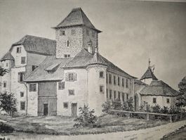 Antiker Kunstdruck Schloss Hegi F. Küpper Winterthur um 1900