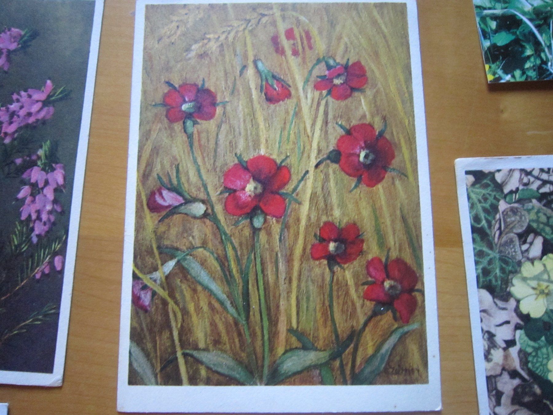 Ansichtskarten: No2 Postkarten Blumen – Gebraucht aus Gordola von Polentaefung 3