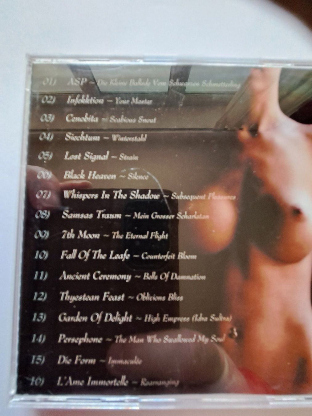 CD: Cd The Gothic grotesque & Elektro Bizarre  – Usato da Pully venduto da bro_n52j 3