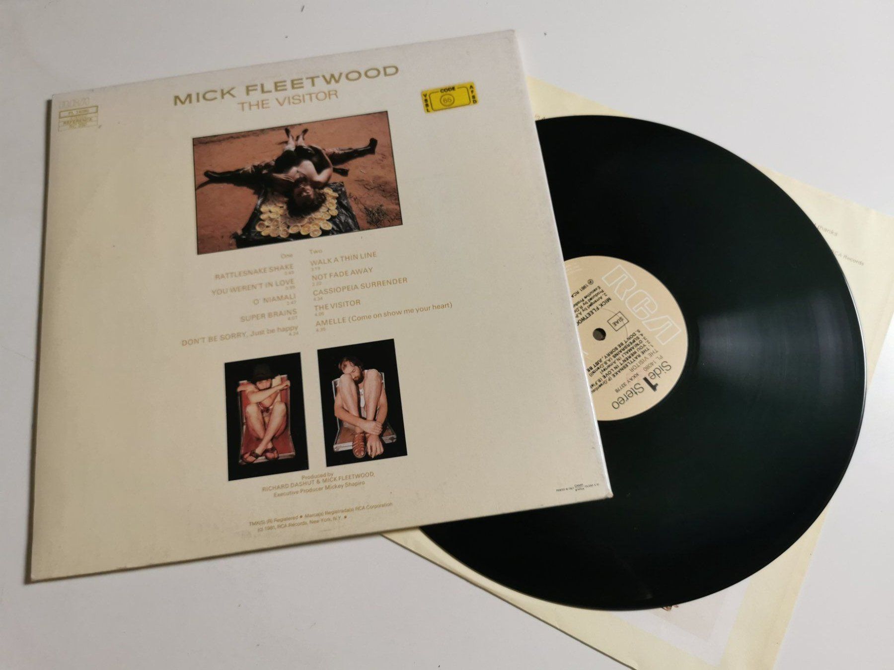 Dischi in vinile: MICK FLEETWOOD - THE VISITOR – Usato da Grafenried venduto da House-of-Oldies 1