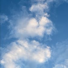 Profile image of mar_fbp2