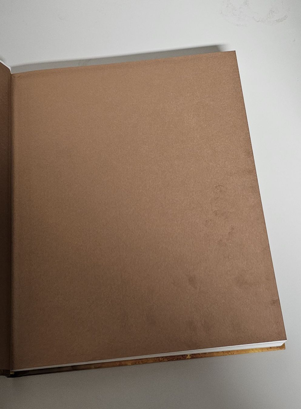 Libri: Die Bier Bibel von Tim Webb und Stephen Beaumont – Nuovo (secondo la descrizione) da Bellach venduto da CoR_M 4